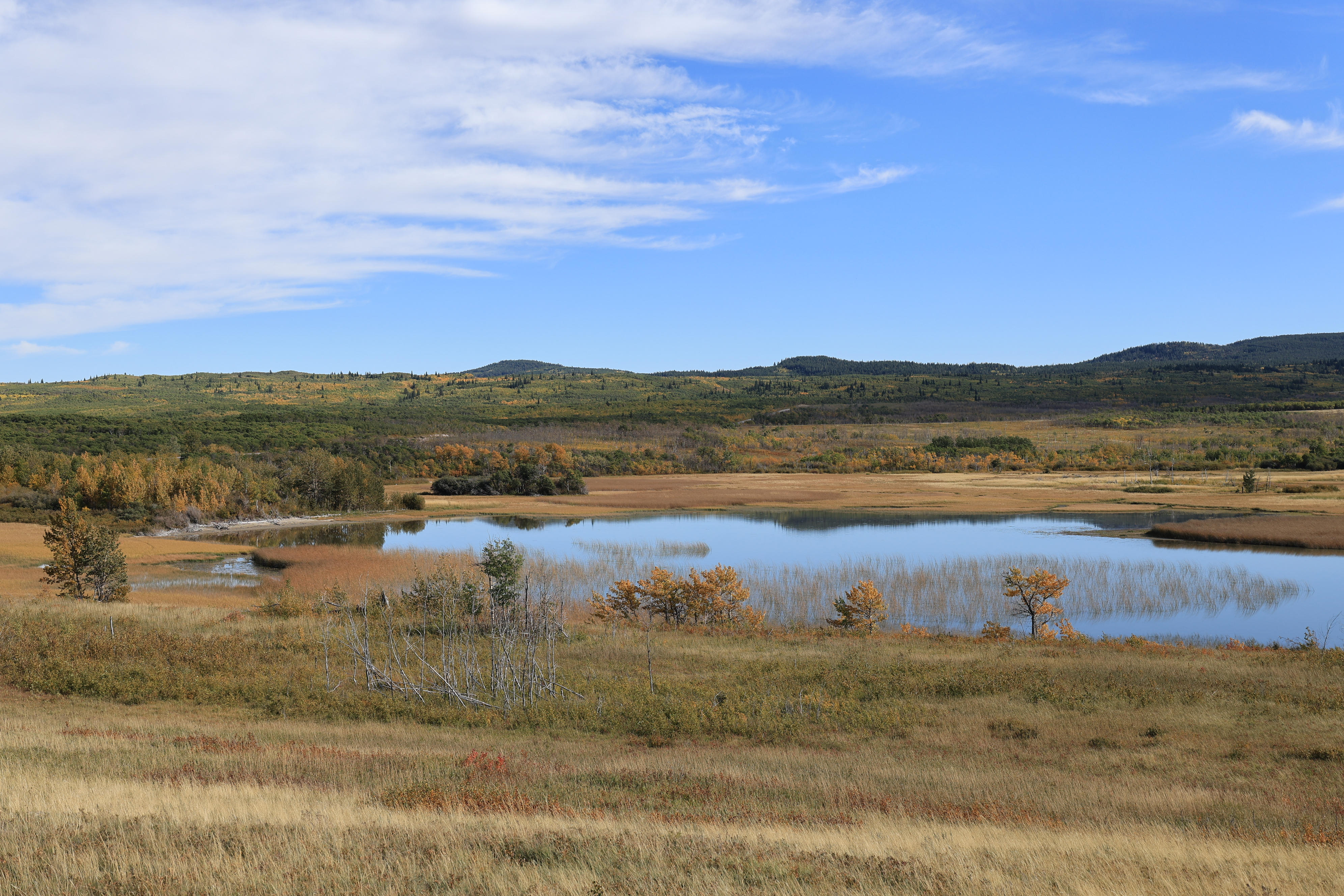 Maskinonge Lake